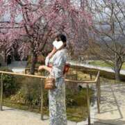 ヒメ日記 2025/03/29 15:05 投稿 RUKA【るか】 ViVi-ヴィヴィ-(金津園)