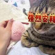 ヒメ日記 2025/05/10 20:40 投稿 RUKA【るか】 ViVi-ヴィヴィ-(金津園)