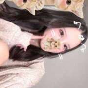 ヒメ日記 2025/12/17 08:57 投稿 RUKA【るか】 ViVi-ヴィヴィ-(金津園)