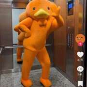 ヒメ日記 2026/03/15 17:17 投稿 RUKA【るか】 ViVi-ヴィヴィ-(金津園)