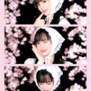 ヒメ日記 2026/04/01 19:57 投稿 RUKA【るか】 ViVi-ヴィヴィ-(金津園)