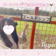 ヒメ日記 2023/10/13 23:02 投稿 SAYA【さや】 ViVi-ヴィヴィ-(金津園)