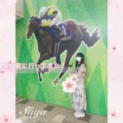 ヒメ日記 2024/04/15 23:47 投稿 SAYA【さや】 ViVi-ヴィヴィ-(金津園)