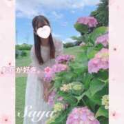 ヒメ日記 2024/04/24 10:57 投稿 SAYA【さや】 ViVi-ヴィヴィ-(金津園)