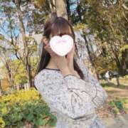 ヒメ日記 2024/12/17 22:07 投稿 SAYA【さや】 ViVi-ヴィヴィ-(金津園)