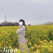 ヒメ日記 2024/12/27 13:17 投稿 SAYA【さや】 ViVi-ヴィヴィ-(金津園)