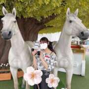 ヒメ日記 2024/12/29 17:17 投稿 SAYA【さや】 ViVi-ヴィヴィ-(金津園)