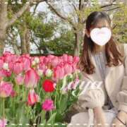 ヒメ日記 2025/02/19 13:17 投稿 SAYA【さや】 ViVi-ヴィヴィ-(金津園)