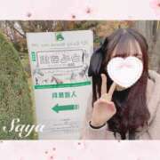 ヒメ日記 2025/03/14 23:57 投稿 SAYA【さや】 ViVi-ヴィヴィ-(金津園)