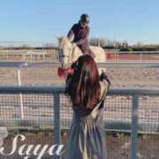 ヒメ日記 2025/03/25 23:57 投稿 SAYA【さや】 ViVi-ヴィヴィ-(金津園)