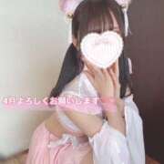 ヒメ日記 2025/04/01 08:37 投稿 SAYA【さや】 ViVi-ヴィヴィ-(金津園)