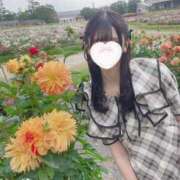 ヒメ日記 2025/04/26 12:47 投稿 SAYA【さや】 ViVi-ヴィヴィ-(金津園)