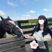 ヒメ日記 2025/05/05 00:08 投稿 SAYA【さや】 ViVi-ヴィヴィ-(金津園)