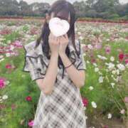 ヒメ日記 2025/05/20 12:47 投稿 SAYA【さや】 ViVi-ヴィヴィ-(金津園)