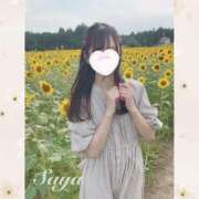 ヒメ日記 2025/08/16 00:07 投稿 SAYA【さや】 ViVi-ヴィヴィ-(金津園)