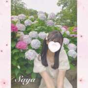 ヒメ日記 2025/08/16 12:47 投稿 SAYA【さや】 ViVi-ヴィヴィ-(金津園)