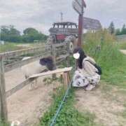 ヒメ日記 2025/08/31 09:23 投稿 SAYA【さや】 ViVi-ヴィヴィ-(金津園)