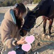 ヒメ日記 2025/09/04 18:17 投稿 SAYA【さや】 ViVi-ヴィヴィ-(金津園)