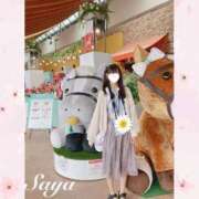 ヒメ日記 2025/09/23 09:27 投稿 SAYA【さや】 ViVi-ヴィヴィ-(金津園)