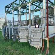 ヒメ日記 2025/12/02 23:07 投稿 SAYA【さや】 ViVi-ヴィヴィ-(金津園)