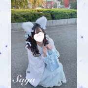 ヒメ日記 2026/03/27 12:47 投稿 SAYA【さや】 ViVi-ヴィヴィ-(金津園)