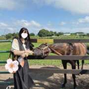 ヒメ日記 2026/08/29 17:17 投稿 SAYA【さや】 ViVi-ヴィヴィ-(金津園)
