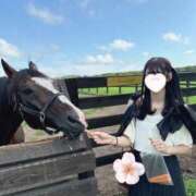 ヒメ日記 2026/10/06 23:49 投稿 SAYA【さや】 ViVi-ヴィヴィ-(金津園)