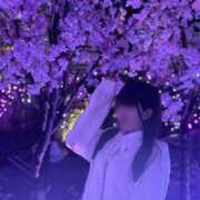 ヒメ日記 2025/03/31 07:07 投稿 COCONA【ここな】 ViVi-ヴィヴィ-(金津園)