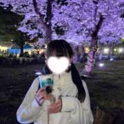 ヒメ日記 2025/04/04 00:07 投稿 COCONA【ここな】 ViVi-ヴィヴィ-(金津園)