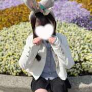 ヒメ日記 2025/05/17 11:27 投稿 COCONA【ここな】 ViVi-ヴィヴィ-(金津園)