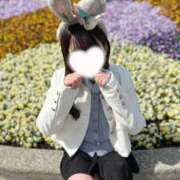 ヒメ日記 2025/10/14 11:57 投稿 COCONA【ここな】 ViVi-ヴィヴィ-(金津園)