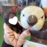 ヒメ日記 2026/03/12 23:57 投稿 COCONA【ここな】 ViVi-ヴィヴィ-(金津園)