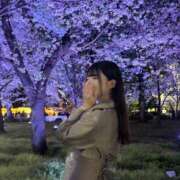 ヒメ日記 2026/03/13 11:47 投稿 COCONA【ここな】 ViVi-ヴィヴィ-(金津園)