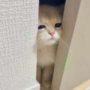 ヒメ日記 2025/11/11 21:28 投稿 TAO【たお】 ViVi-ヴィヴィ-(金津園)