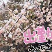 ヒメ日記 2025/03/28 10:14 投稿 堀部 熟女の風俗最終章 横浜本店