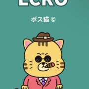 ヒメ日記 2025/09/25 18:02 投稿 こつめ 世界のあんぷり亭 新宿総本店