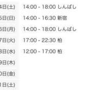 ヒメ日記 2026/01/24 15:00 投稿 こつめ 世界のあんぷり亭 新宿総本店