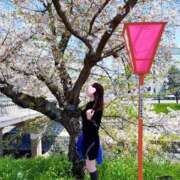 ヒメ日記 2026/04/08 13:51 投稿 つきこ 奥鉄オクテツ大阪