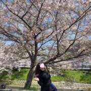 ヒメ日記 2026/04/12 18:26 投稿 つきこ 奥鉄オクテツ大阪