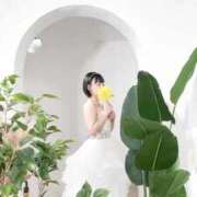 ヒメ日記 2025/06/24 09:41 投稿 ゆり 新感覚恋活ソープもしも彼女が○○だったら・・・福岡中州本店