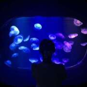 ヒメ日記 2025/07/05 17:51 投稿 ゆり 新感覚恋活ソープもしも彼女が○○だったら・・・福岡中州本店