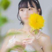 ヒメ日記 2025/07/19 09:27 投稿 ゆり 新感覚恋活ソープもしも彼女が○○だったら・・・福岡中州本店