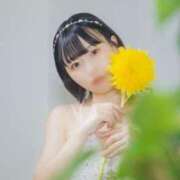 ヒメ日記 2025/08/01 17:51 投稿 ゆり 新感覚恋活ソープもしも彼女が○○だったら・・・福岡中州本店