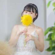 ヒメ日記 2025/08/09 23:21 投稿 ゆり 新感覚恋活ソープもしも彼女が○○だったら・・・福岡中州本店