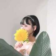 ヒメ日記 2025/08/19 22:41 投稿 ゆり 新感覚恋活ソープもしも彼女が○○だったら・・・福岡中州本店