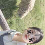 ヒメ日記 2026/05/11 20:20 投稿 ゆり 新感覚恋活ソープもしも彼女が○○だったら・・・福岡中州本店