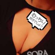 ヒメ日記 2025/01/23 16:10 投稿 そら チューリップ姫路店