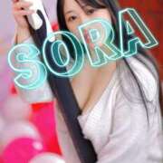 ヒメ日記 2025/02/27 14:22 投稿 そら チューリップ姫路店