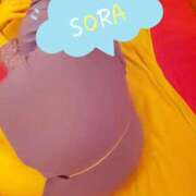 ヒメ日記 2025/03/01 18:32 投稿 そら チューリップ姫路店