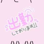 ヒメ日記 2025/03/02 16:33 投稿 そら チューリップ姫路店